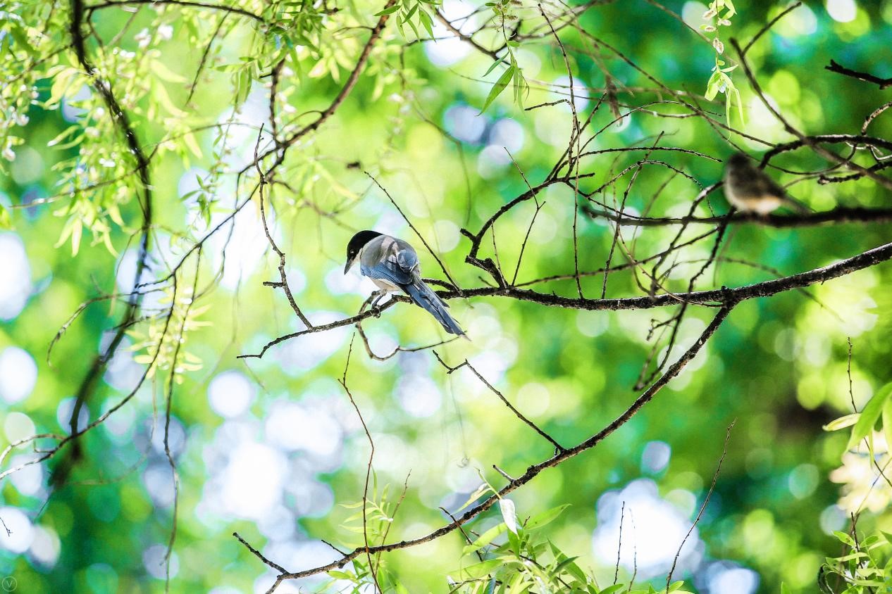 620AE525B0A7841A927D2678051_0BBB4B27_3FB60