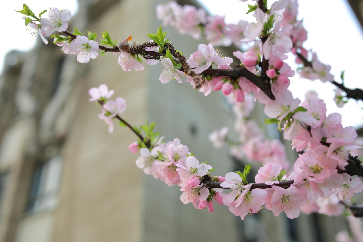 1B8AEE5CB7B7247F254AA2A4DEC_0904803C_1F0C6